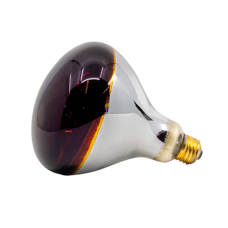 Westinghouse 250 Watt R40 Incandescent Red Infrared Heat Light Bulb
